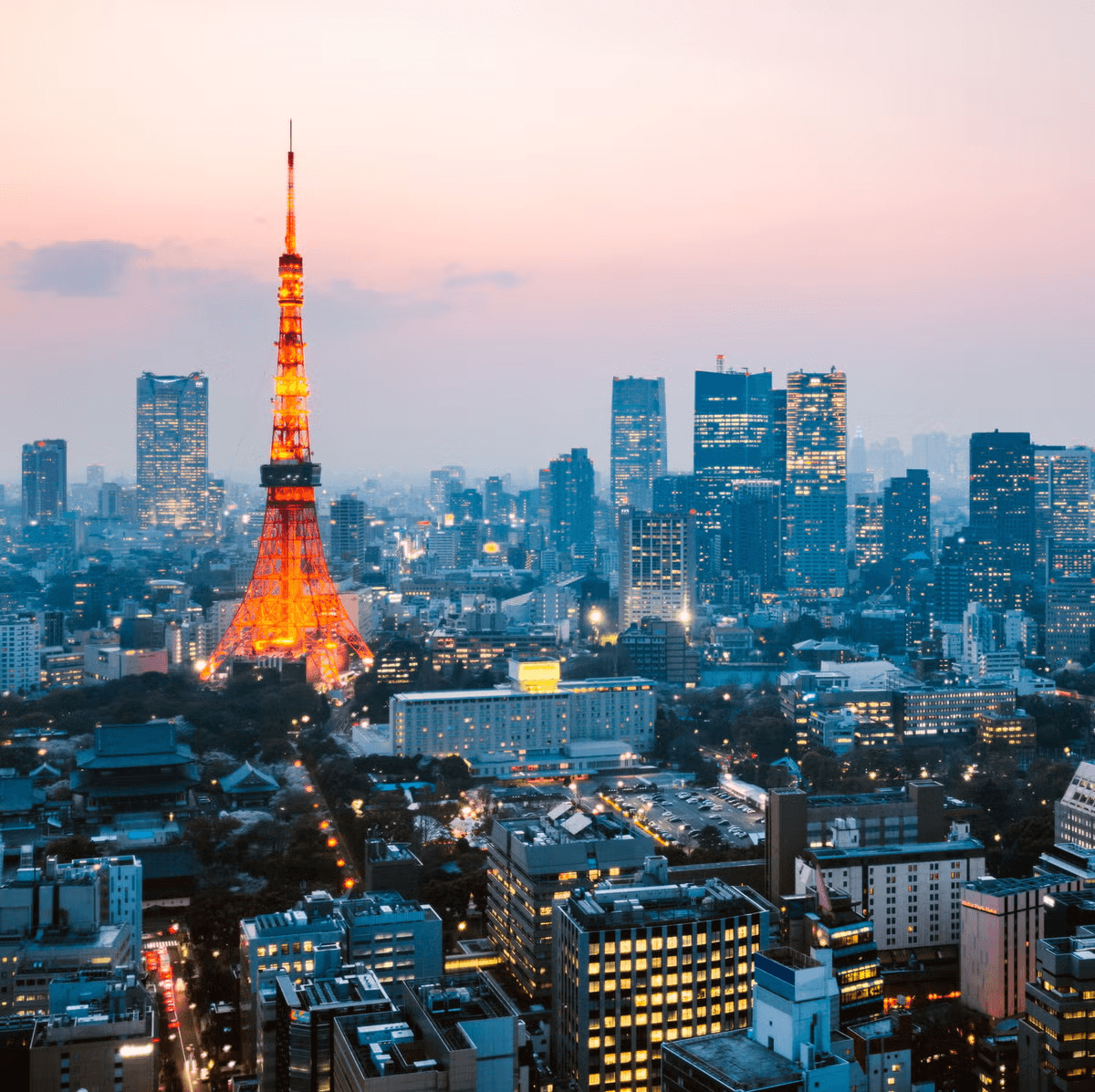 Tokyo Travel Video preview